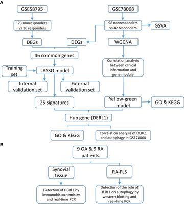 Derlin-1, as a Potential Early Predictive Biomarker for Nonresponse to Infliximab Treatment in Rheumatoid Arthritis, Is Related to Autophagy